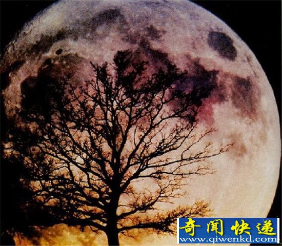 多重证据表明 月亮的确就是人造星球