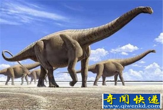 人类要滚回火星?地球生物大灭绝正在加速!