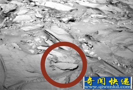 火星发现鱼类化石 猜测曾被海洋所覆盖