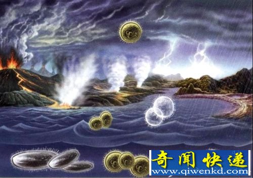 平行宇宙存在吗?宇宙的尽头是个餐馆?