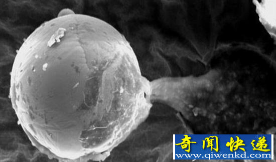 人类都是外星人?证据表明地球生命来自外太空!