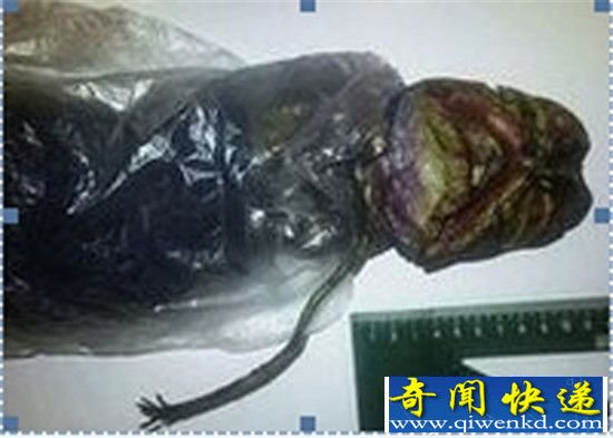 人类不再唯一!银河系就存在大量外星生命