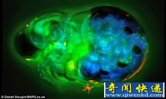 外星生命或为微生物形态 霍金警告莫轻易寻找
