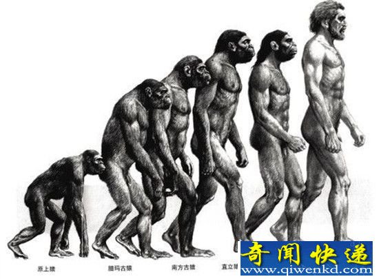地球人可能是宇宙中唯一智慧生物