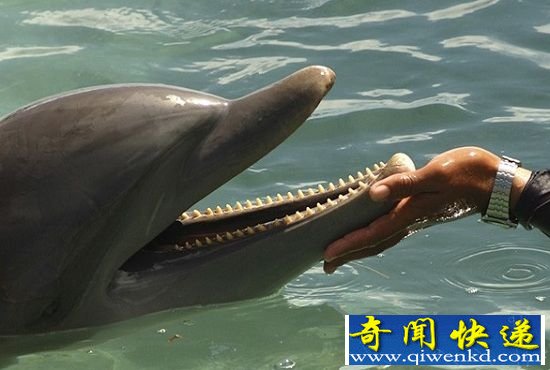 科学家寻找外星人十大计划 无线电波监听宇宙
