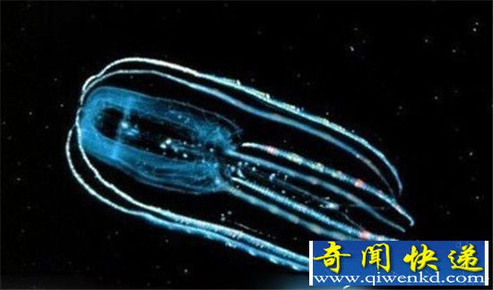 宇宙火星地下发现神秘生物 疑是火星人