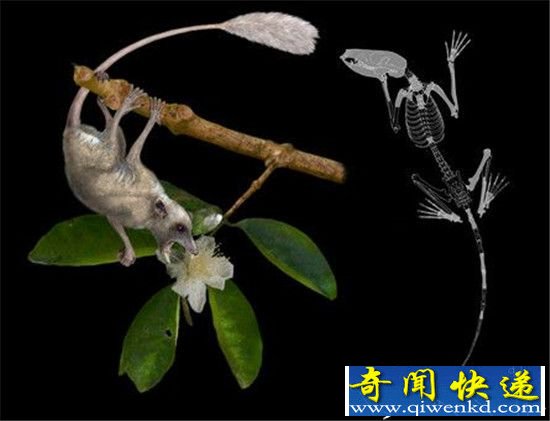 盘点六大原因:为何不可能是外星人造人