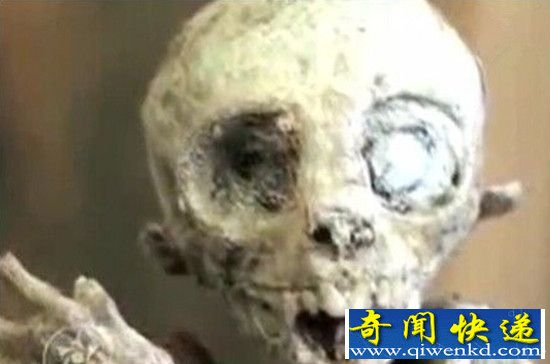惊现“外星人宝宝” 却无法检测出DNA
