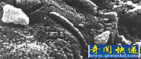 宇宙十大可能存在地外生物盘点 火星位列其中