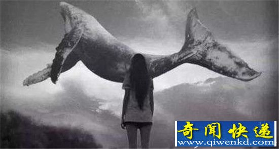 蓝鲸游戏50个任务是什么?揭秘青少年自杀原因!