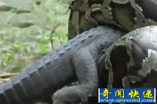 ʮͶս 㾹?