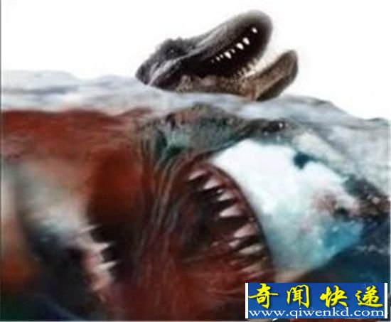 世界上最恐怖的动物 巨齿鲨撕咬霸王龙震撼!