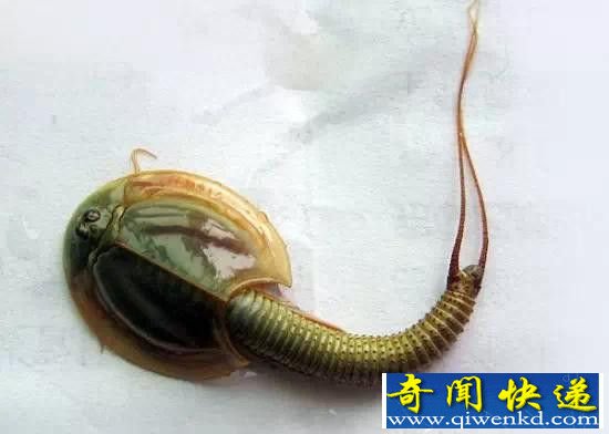 ִʮ춯 ˮ!
