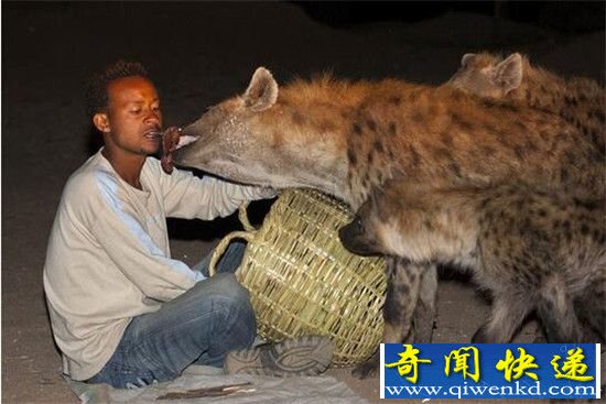 全球十大人与动物温馨瞬间 见证人与动物纯真感情