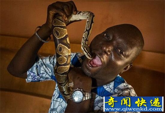 全球十大人与动物温馨瞬间 见证人与动物纯真感情