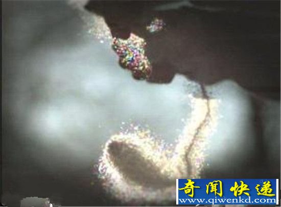 神秘杀手鱼能爬上陆地 反杀掠食者!