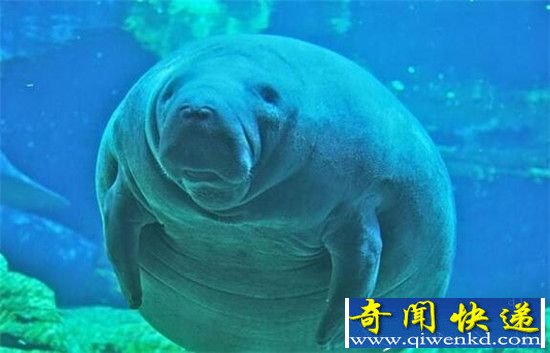 ʮ̵ 书Ϊ