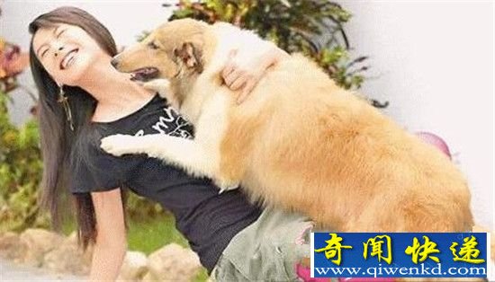 全球最奇特动物交配性行为:人与动物杂交