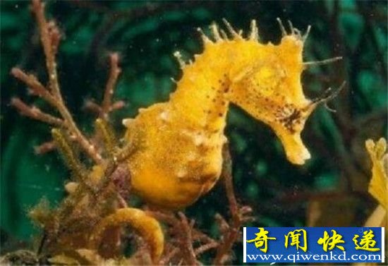 ʮؽ䷽ʽ̵ ţǴͬ