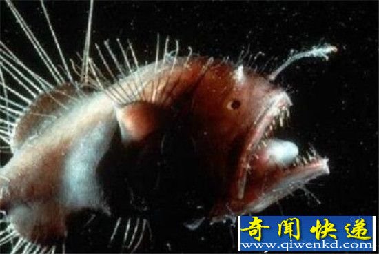 ʮؽ䷽ʽ̵ ţǴͬ