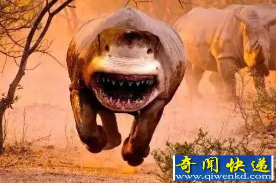 世界十大杂交动物 恐怖到令人发指!