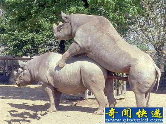 ʵҰｻ侫˲䣺ȫǼ