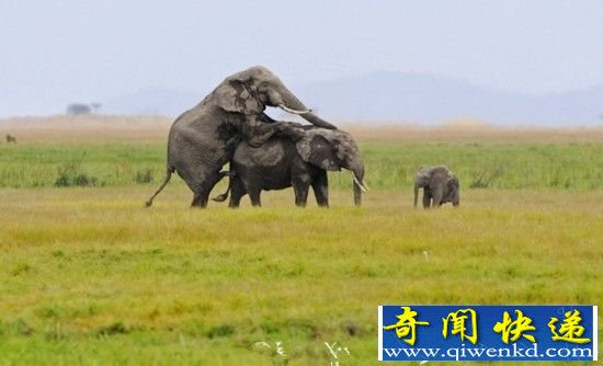 ʵҰｻ侫˲䣺ȫǼ
