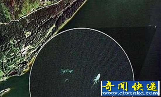 全球著名未确认生物体揭秘 蓝血人竟真实存在?