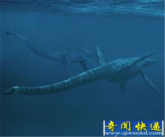 尼斯湖水怪是蛇颈龙?世界最后一只活恐龙