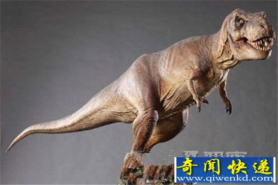 远古七大恐怖致命恐龙 暴龙排第一!