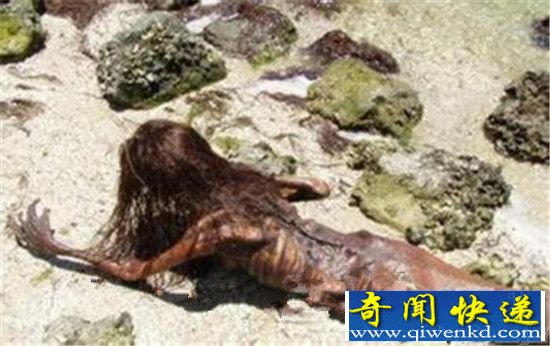 美人鱼存在吗? 美人鱼藏身何处?