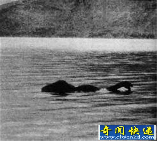 尼斯湖水怪是外星生物?全球十大怪物盘点