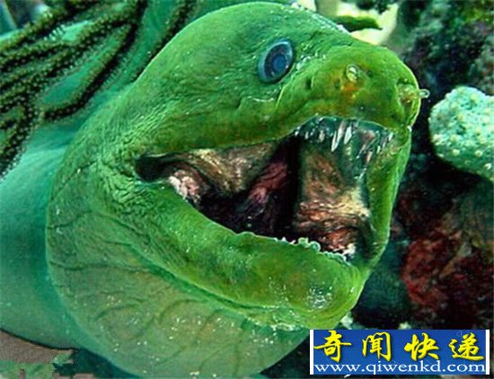 ȫª̴ ͷʷ