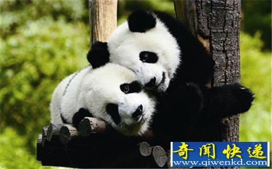 йʮΣҰ Ӳèͷӥ7