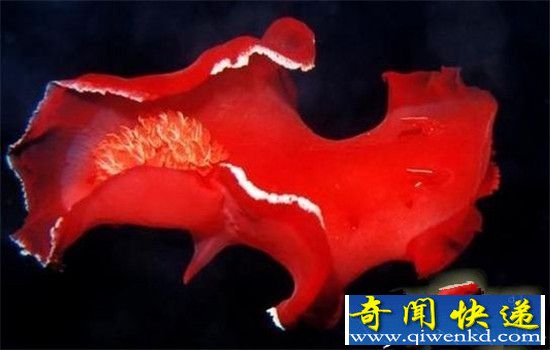 ʮ赸ңӯŶΪż