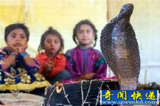 揭秘蛇人部落 蛇人部落的起源发展和习俗