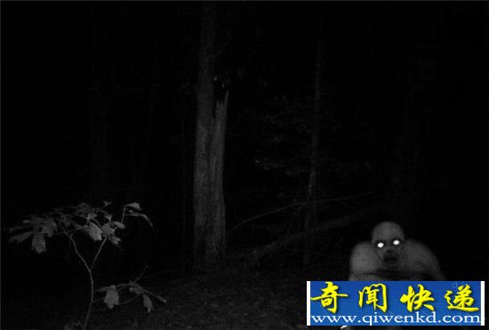 地球太危险!地球十大神秘生物吓死人