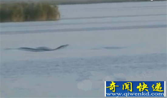 新疆红海水库水怪出没 湖中翻腾犹如巨蛇