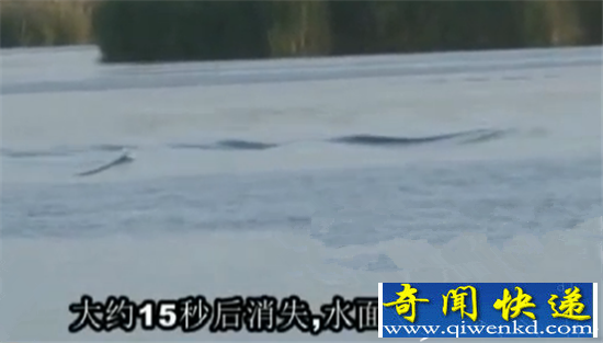 新疆红海水库水怪出没 湖中翻腾犹如巨蛇