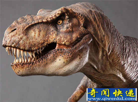 远古七大恐怖致命恐龙 暴龙排第一