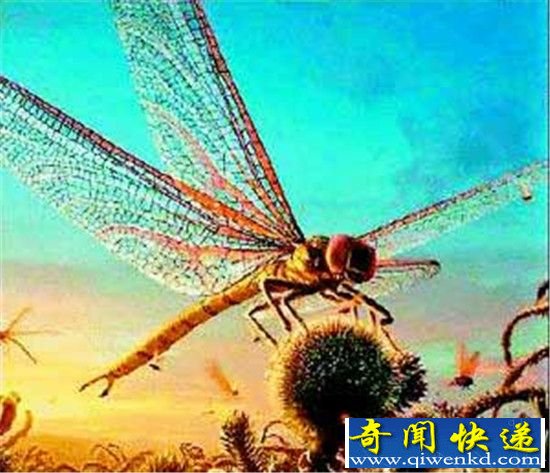 南极巨虫长达3米 盘点全球10大巨型恐怖昆虫