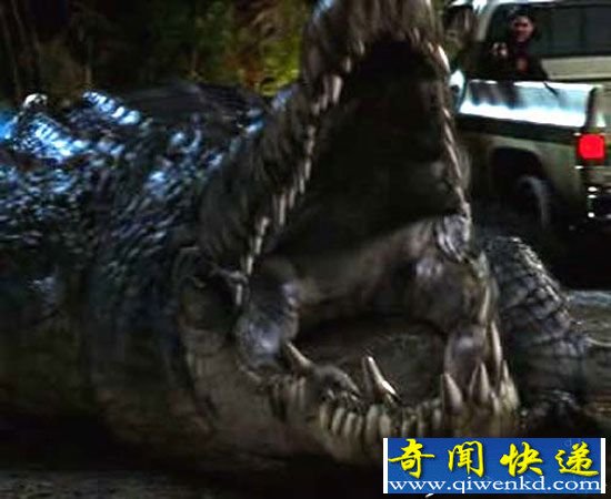 ʷǰɰ绢Լ ʷǰ޴ɱ¾
