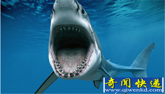 ˴󡰱ٹȡ̵ ʮ겻Բ