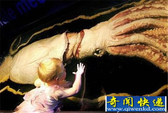 除了美人鱼:十大恐怖海怪让人后背发凉!