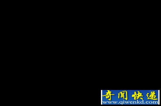 动物界十大战争小能手:对待敌人杀无赦!