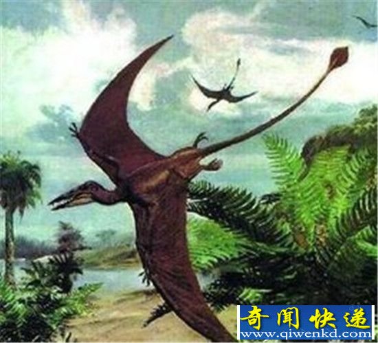 恐龙帝国统治时代 你能想象得到吗?