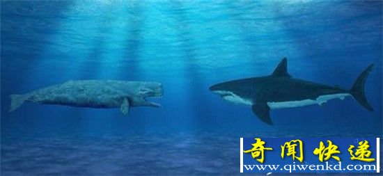 ÷ά޴󸴻ҲֻǿθСˣ