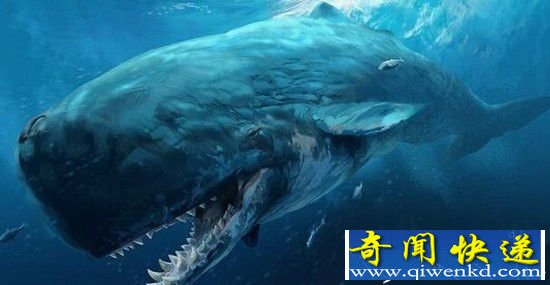 ÷ά޴󸴻ҲֻǿθСˣ