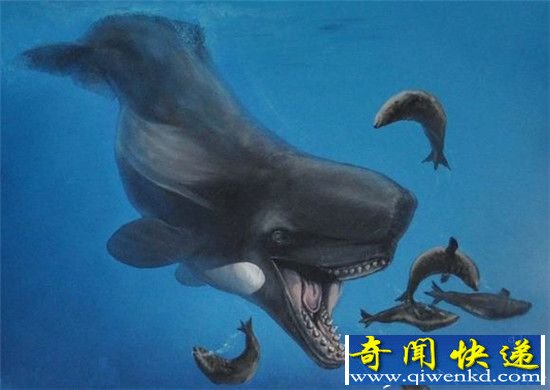 ÷ά޴󸴻ҲֻǿθСˣ