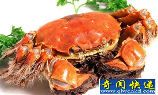 大闸蟹死了还能吃吗?细菌多的吓人!